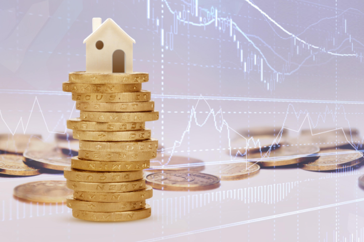 林采宜：富人的钱都去哪儿了