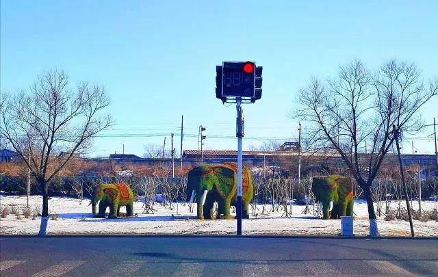 疫情过后，谁的城市会成为下一个鹤岗